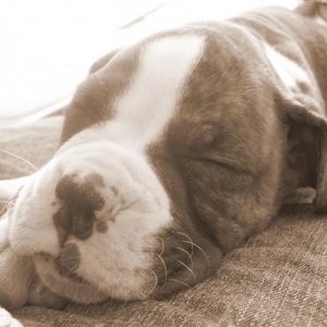 My first day home...