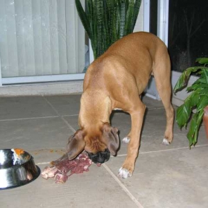 Food time
