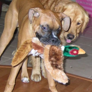 Play time
