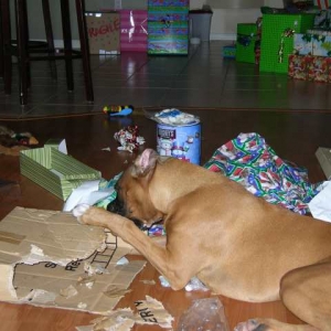 Christmas 06