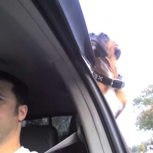 Crusing in the truck