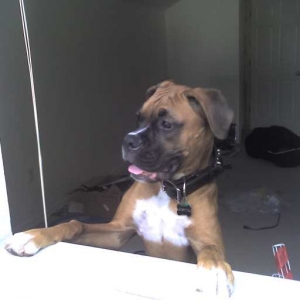 Looking out of the window...