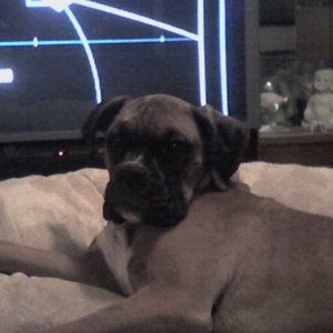 Why did you wake me?