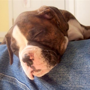 Comfy spot...