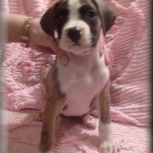 My Miracle Baby