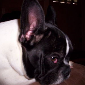 Lola