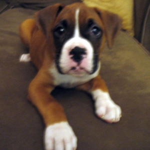 You talkin to me????