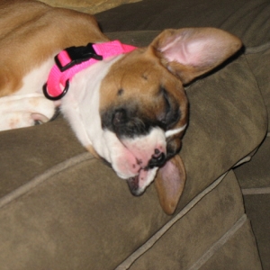 Sleepin...
