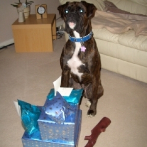 Pressies_1_