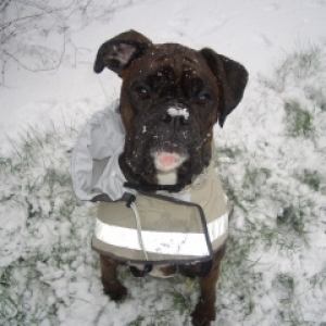 SnowonNose_1_
