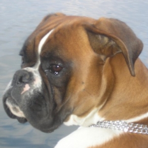 my baby