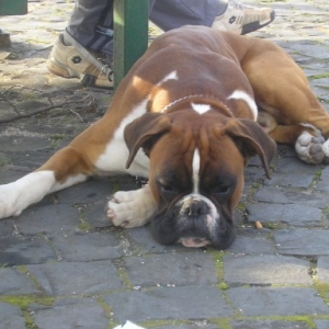 Axel takes a break