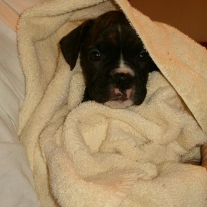 first bath