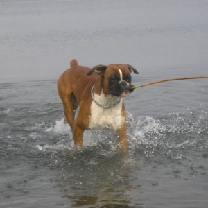 running in the water