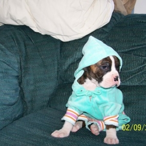 quinn_first_outfit