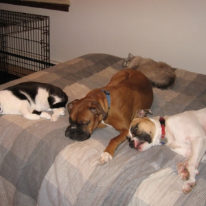 Group Photo