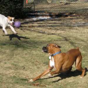 Playing