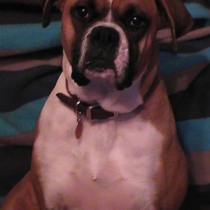 What a cutie
