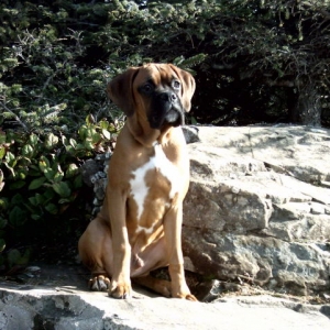 Handsome!