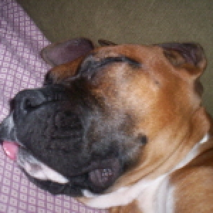 Chiefsleep