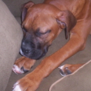 Sleepy_boy