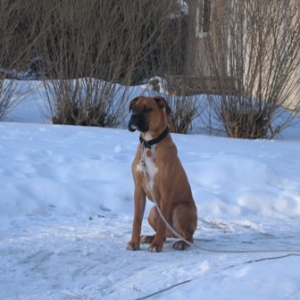 Duke just 'chillin'
