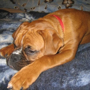 sleeping