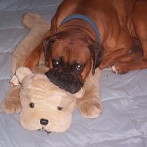 My boy Riley :)
