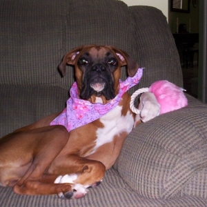 Molley's First Valentine's Day