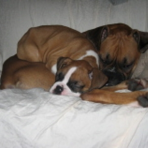 Best Friends