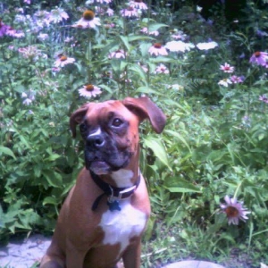 Hazel Posing