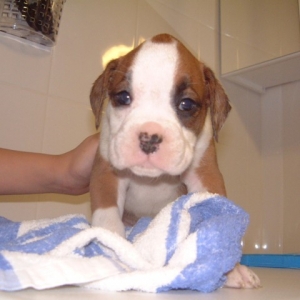 Our new Babe!