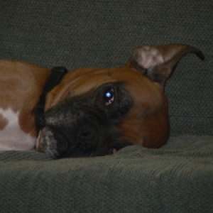 don't bother me when i'm trying to sleep