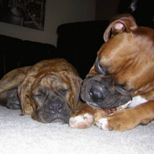 When Zeus came home (16 weeks).