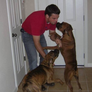 Daddy home