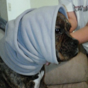 cold_ears