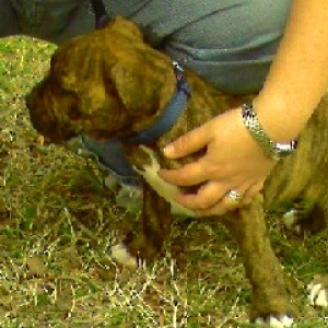my_baby