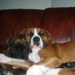 Sleepy heads