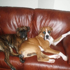 Boys taken over the sitting room!