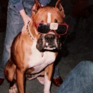 RIP_Dolly
