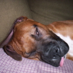 Sleepy Time