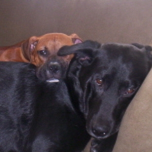 Brotherly Love!