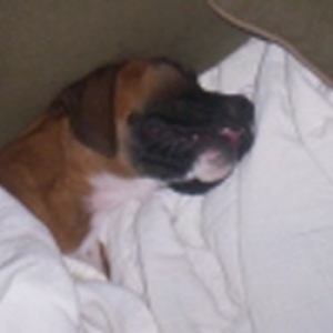 All Tucked In