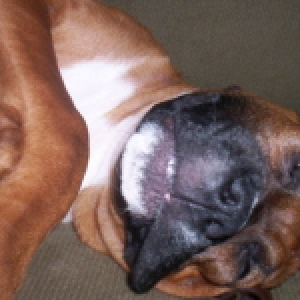 Goofball!