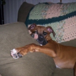 Snoozin'