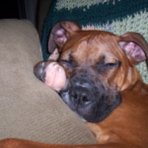 Power Nap!