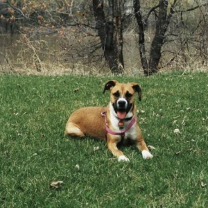 Jazzy Girl