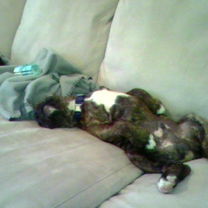 naptime6