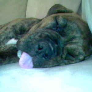 tongue2