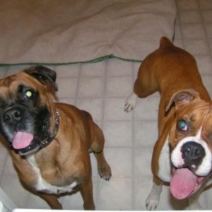 New buddies